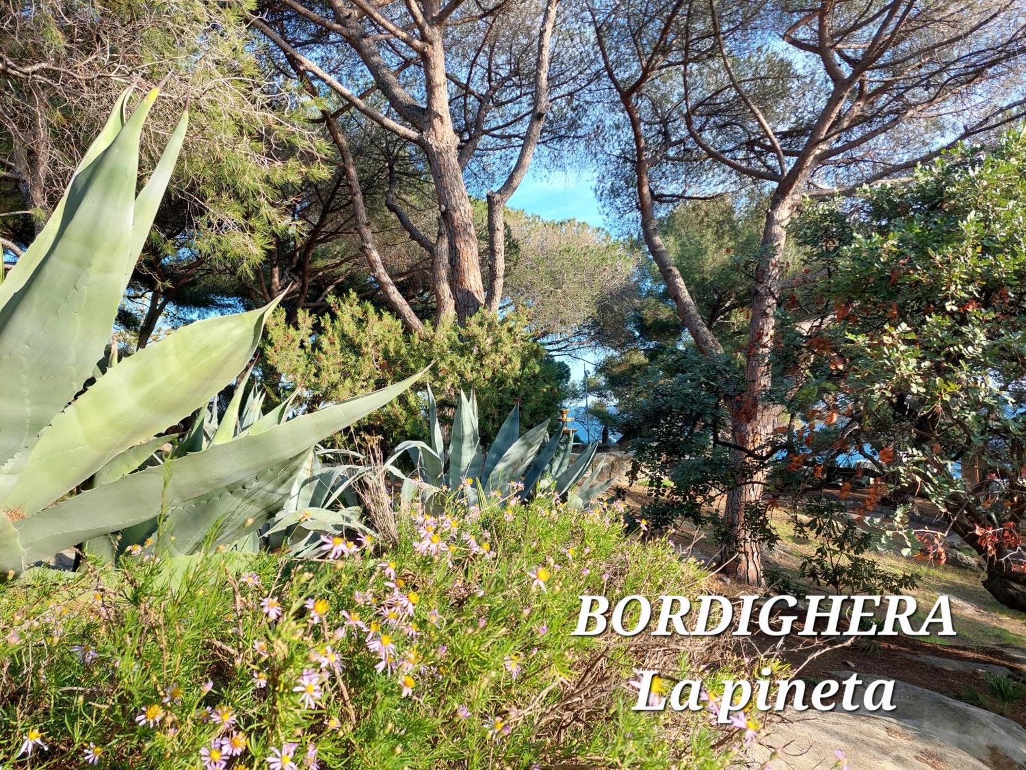 Emozioni Casa Vista Mare Bordighera Exterior photo