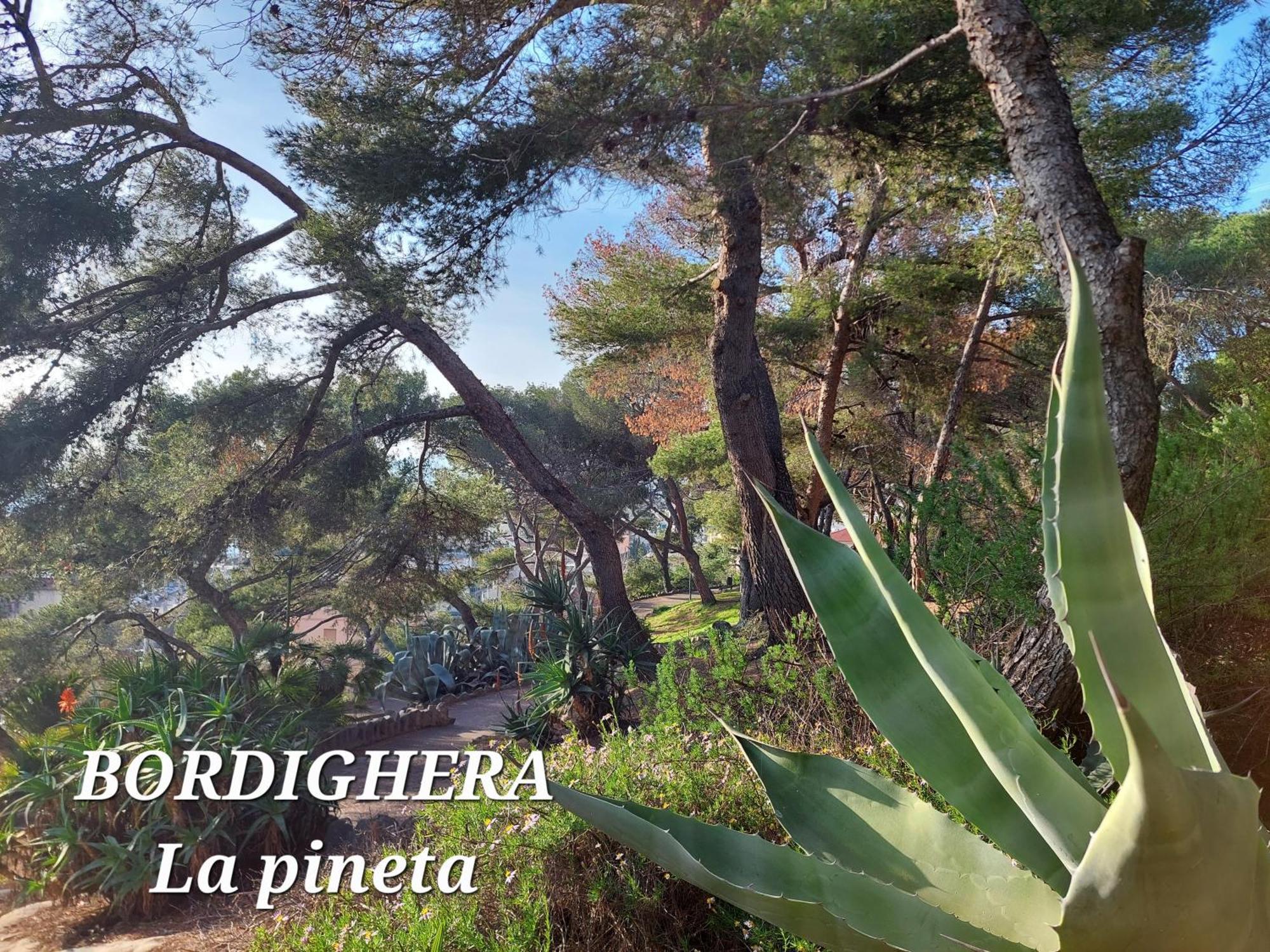 Emozioni Casa Vista Mare Bordighera Exterior photo